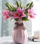 modern decorative ribbon small ceramic flower vase